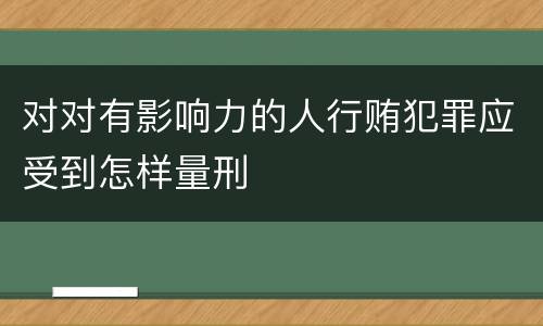 对对有影响力的人行贿犯罪应受到怎样量刑