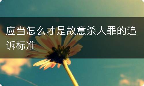 应当怎么才是故意杀人罪的追诉标准