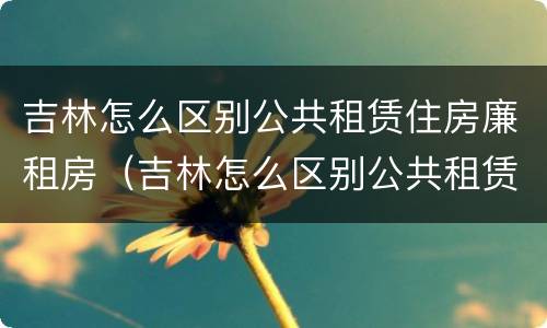 吉林怎么区别公共租赁住房廉租房（吉林怎么区别公共租赁住房廉租房和住宅）