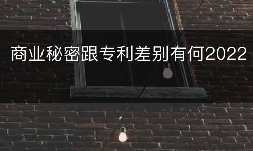 商业秘密跟专利差别有何2022