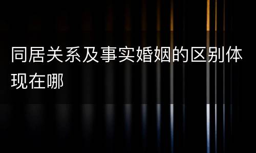 同居关系及事实婚姻的区别体现在哪