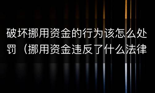 破坏挪用资金的行为该怎么处罚（挪用资金违反了什么法律法规）