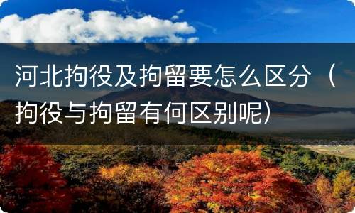 河北拘役及拘留要怎么区分（拘役与拘留有何区别呢）
