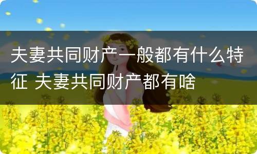 夫妻共同财产一般都有什么特征 夫妻共同财产都有啥