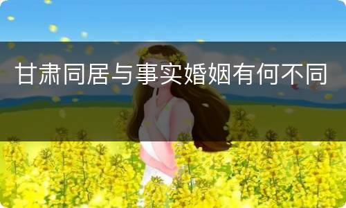 甘肃同居与事实婚姻有何不同