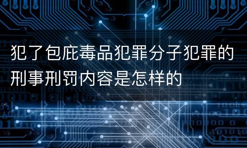 犯了包庇毒品犯罪分子犯罪的刑事刑罚内容是怎样的