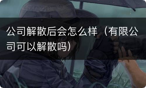公司解散后会怎么样（有限公司可以解散吗）