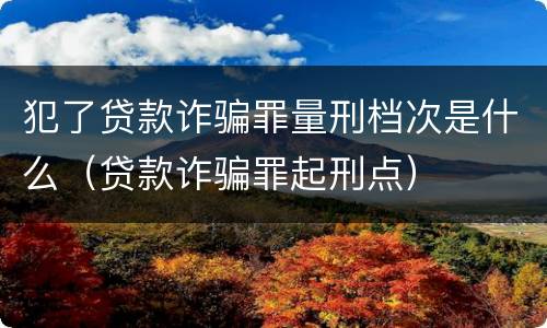 犯了贷款诈骗罪量刑档次是什么（贷款诈骗罪起刑点）