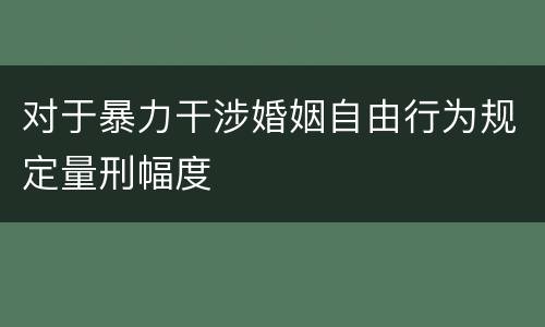 对于暴力干涉婚姻自由行为规定量刑幅度