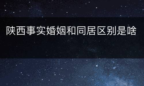 陕西事实婚姻和同居区别是啥