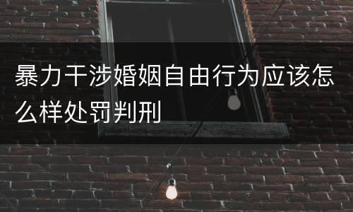 暴力干涉婚姻自由行为应该怎么样处罚判刑