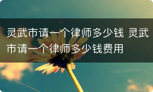 灵武市请一个律师多少钱 灵武市请一个律师多少钱费用