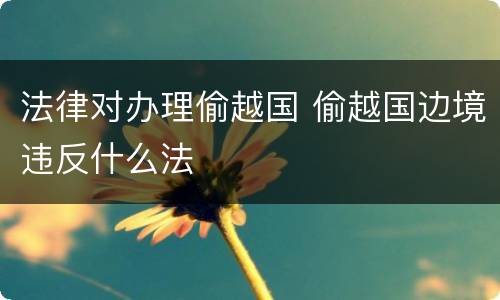 法律对办理偷越国 偷越国边境违反什么法