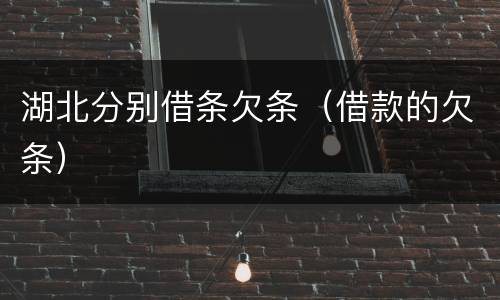 湖北分别借条欠条（借款的欠条）