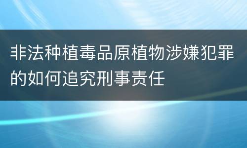 非法种植毒品原植物涉嫌犯罪的如何追究刑事责任