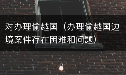 对办理偷越国（办理偷越国边境案件存在困难和问题）