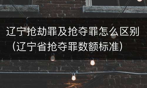 辽宁抢劫罪及抢夺罪怎么区别（辽宁省抢夺罪数额标准）