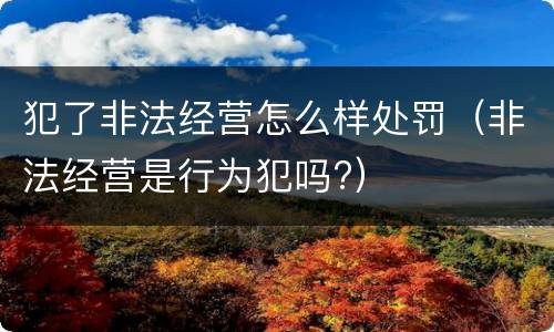 犯了非法经营怎么样处罚（非法经营是行为犯吗?）