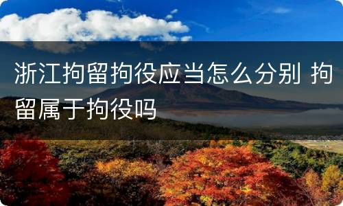 浙江拘留拘役应当怎么分别 拘留属于拘役吗