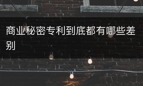 商业秘密专利到底都有哪些差别