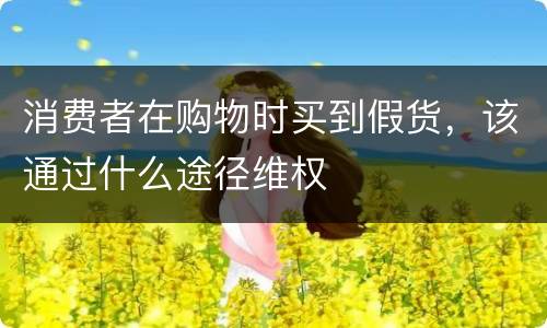 消费者在购物时买到假货，该通过什么途径维权