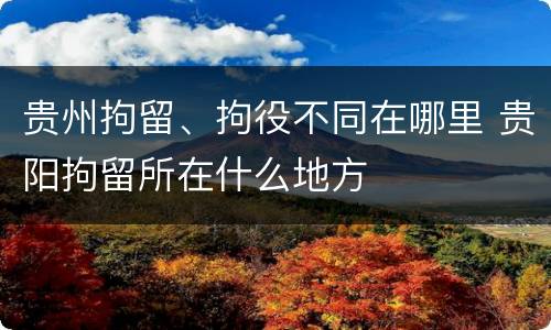 贵州拘留、拘役不同在哪里 贵阳拘留所在什么地方