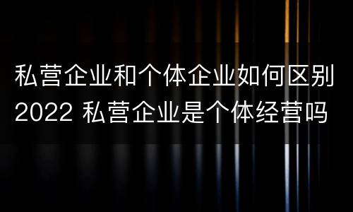 私营企业和个体企业如何区别2022 私营企业是个体经营吗