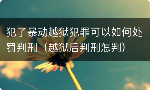 犯了暴动越狱犯罪可以如何处罚判刑（越狱后判刑怎判）