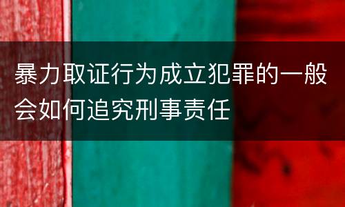 暴力取证行为成立犯罪的一般会如何追究刑事责任