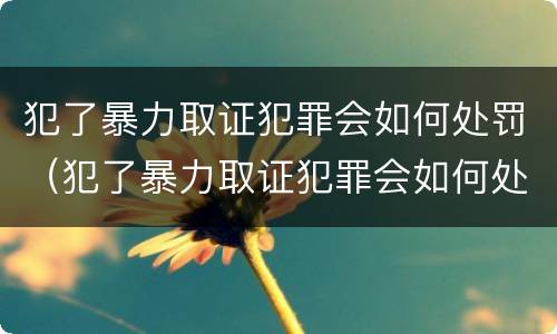 犯了暴力取证犯罪会如何处罚（犯了暴力取证犯罪会如何处罚他）