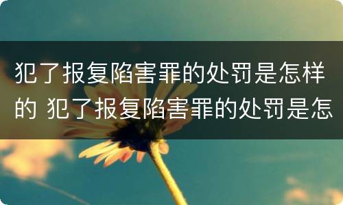 犯了报复陷害罪的处罚是怎样的 犯了报复陷害罪的处罚是怎样的呢