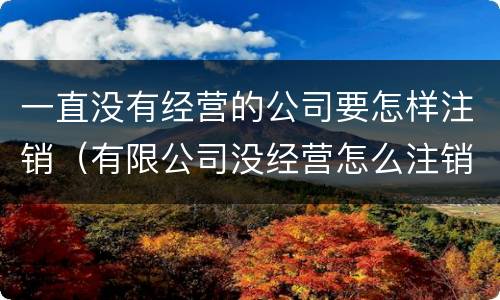 一直没有经营的公司要怎样注销（有限公司没经营怎么注销）