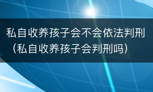 私自收养孩子会不会依法判刑（私自收养孩子会判刑吗）