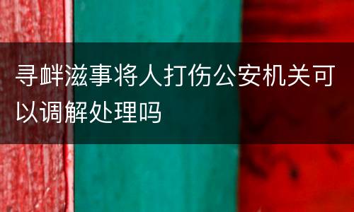 寻衅滋事将人打伤公安机关可以调解处理吗