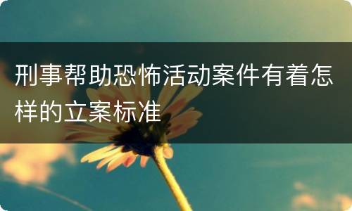 刑事帮助恐怖活动案件有着怎样的立案标准
