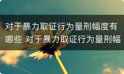 对于暴力取证行为量刑幅度有哪些 对于暴力取证行为量刑幅度有哪些标准