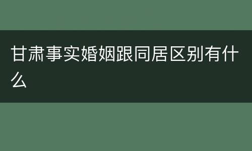 甘肃事实婚姻跟同居区别有什么