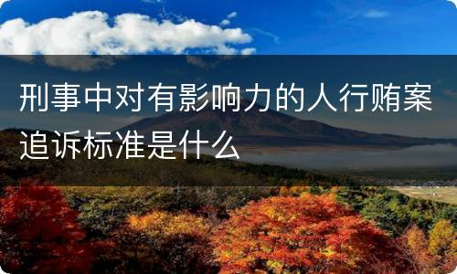 刑事中对有影响力的人行贿案追诉标准是什么