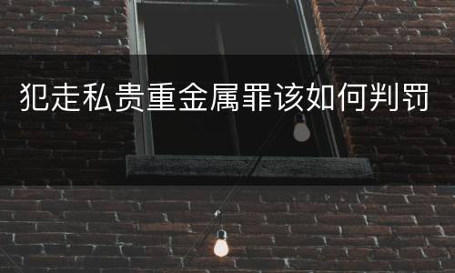 犯走私贵重金属罪该如何判罚