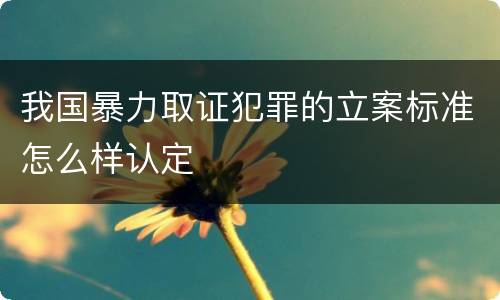 我国暴力取证犯罪的立案标准怎么样认定