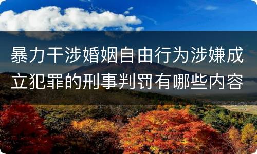 暴力干涉婚姻自由行为涉嫌成立犯罪的刑事判罚有哪些内容