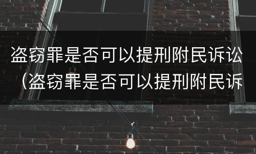 盗窃罪是否可以提刑附民诉讼（盗窃罪是否可以提刑附民诉讼请求）