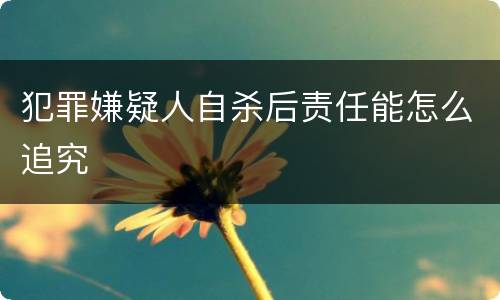 犯罪嫌疑人自杀后责任能怎么追究