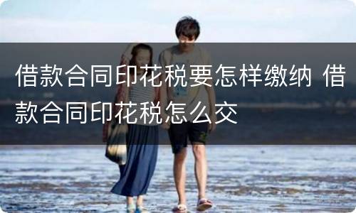 借款合同印花税要怎样缴纳 借款合同印花税怎么交