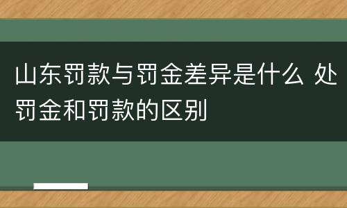 山东罚款与罚金差异是什么 处罚金和罚款的区别