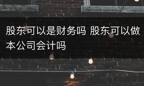 股东可以是财务吗 股东可以做本公司会计吗
