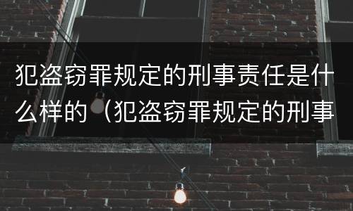犯盗窃罪规定的刑事责任是什么样的（犯盗窃罪规定的刑事责任是什么样的案件）