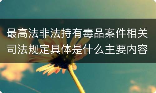 最高法非法持有毒品案件相关司法规定具体是什么主要内容