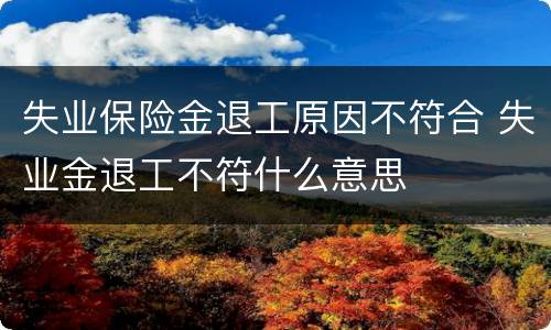 失业保险金退工原因不符合 失业金退工不符什么意思