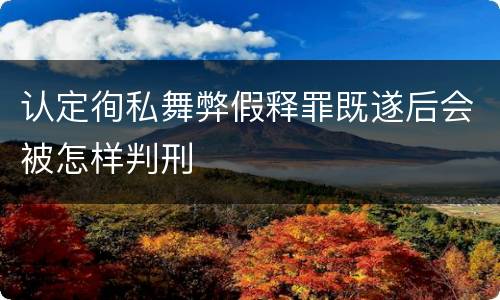 认定徇私舞弊假释罪既遂后会被怎样判刑